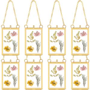 Reginary 8 Pcs 2 x 3 Inch Glass Frame for Pressed Flowers Mini Hanging Double Brass Frame Floating Glass Photo Picture Frame with Chain for Artwork Art Specimen Wall Plant DIY Decor(Gold)