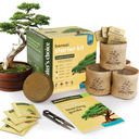 Bonsai Starter Kit  Gardening Easter Gift for Women & Men  Bonsai Tree Growing Garden Crafts Hobby Kits for Adults, Unique DIY Hobbies for Plant Lovers  Unusual Christmas Gifts Ideas