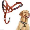 HALTI Headcollar - to Stop Your Dog Pulling on The Leash. Adjustable, Reflective and Lightweight, with Padded Nose Band. Dog Training Anti-Pull Collar for Medium Dogs (Size 2, Burnt Orange)
