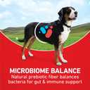 Purina ONE Lamb and Rice Formula Dry Dog Food for Digestive Support (EXP 11/04/26)