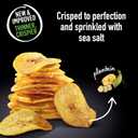 Terra Plantains Real Sea Salt Vegetable Chips 5 oz (5 Ounce (Pack of 1))