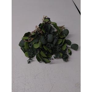 Artificial Oval Eucalyptus Leaves Bulk with White Seeds Stems and Spray for Vase Floral Wreath Bouquets Wedding Greenery Decoration