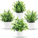 Der Rose Faux Plants Indoor, 4 Pack Small Fake Plants Mini Artificial Plants in Pots for Home Office Shelf Farmhouse Bathroom Decor