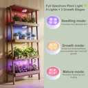 2 Pack Rechargeable Grow Light for Indoor Plants, Cordless Magnetic Plant Lights for Indoor Growing, 6500k Full Spectrum LED Lighting with Timer & Remote, Stepless Dimming for Plant Shelf