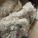 Beige Fluffy Rug for Bedroom 3x5 ft Small Rug - Ultra Soft & Non Slip Shaggy Area Rug, Comfy Durable Carpet for Living Room Kids Room Teens Dorm Home Decor, 1.7'' Thick Indoor Plush Carpets