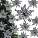 6 Pcs 12 Inch Black and White Stripes Christmas Poinsettia Flowers with Stems Large Artificial Stripe Poinsettia Christmas Tree Flower Ornaments for Halloween Holiday Wreath Garland Decor 