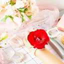 Hicarer 12 Pcs Pearl Wrist Corsage Bracelet Elastic Wristlet Band Corsage DIY Stretch Accessory Wedding Bridesmaid Bride Prom(12 Pcs)