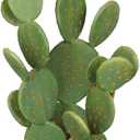 DILATATA Tall Fake Cactus Plant 27.5 inch Large Artificial Cactus Tree 'Prickly Pear Cactus' Faux Cactus Desert Plants Big Fake Cacti for Home Garden Office Decor (Opuntia Chlorotica)