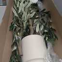 Faux Olive Tree, 6FT Artificial Olive Trees with Lifelike Olive Branches and Fruits, Fake Floor Plants with Pot for Indoor Home Office Living Room Outdoor Decor