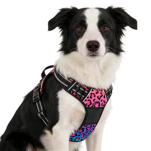 Rnivvi No Pull Dog Harness, Cute Leopard Reflective Medium Sized Puppy Kitten Harness, Adjustable Soft Padded Vest for Medium Dogs, Heavy Duty Pet Vest with Easy Control Handle for Walking, Neon