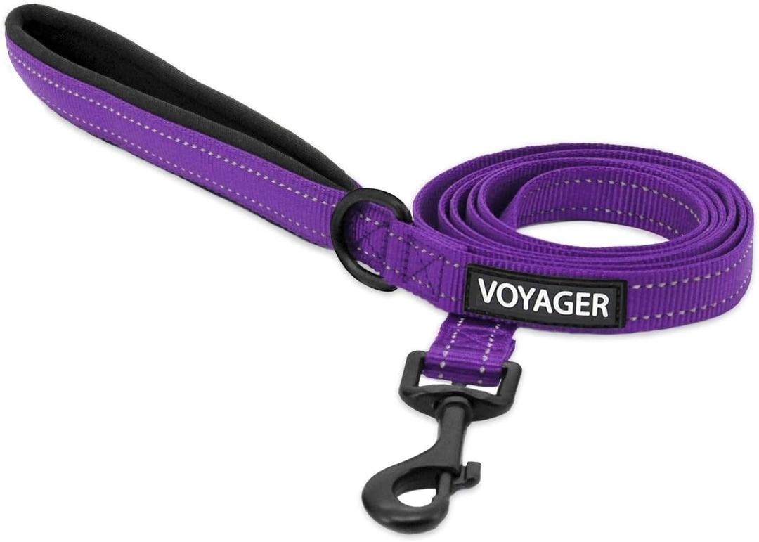 Voyager Reflective Dog Leash with Neoprene Handle, 5ft Long, Supports Small, Medium, and Large Breed Puppies, Cute and Heavy Duty for Walking, Running, and Training - Purple (Leash), S