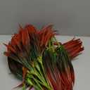 Ouddy Decor 20 Pcs Fake Outdoor Plants Artificial Grass Greenery Stems Faux Plastic Plants UV Resistant for Fall Indoor Outside Garden Hanging Planter Pathway Porch Patio Window Box Home Decor, Red