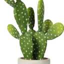 DILATATA 13' Small Fake Cactus Plant Potted 'Prickly Pear Cactus' Faux Cacti for Home Garden Office Decor Housewarming Gifts