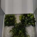 Der Rose 3 Pack Mini Potted Fake Plants Artificial Plastic Eucalyptus Plants Topiaries for Home Office Desk Farmhouse Shelf Room Bathroom Decor(Green)