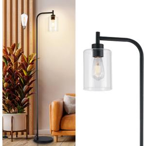 DLLT Floor Lamp Tall for Room: Black Standing Lamp with Clear Glass Lampshade for Living Room - Modern Bright Lamp for Bedroom - Industrial Corner Floor Lamps for Office 8W Led Bulb Included (Black-BF)
