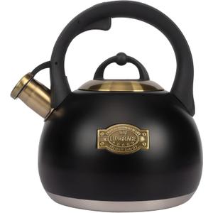 Tea Kettle for Stovetop, Food Grade Stainless Steel Water Kettle, Tea Pot for Home & Kitchen, 3.1 Quart (Black)
