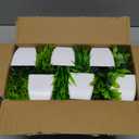 Unittype 12 Pcs Fake Plants Small Artificial Faux Plants for Shelf Mini Plastic Potted Greenery for Home Office Desk Bathroom Bedroom Indoor Decor(White Pot,Green)