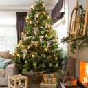 2.36" Christmas Ball Ornaments Green 30 Pcs Small Shatterproof Christmas Tree Decorations Xmas Tree Christmas Ornaments Balls with Hanging Loop for Wedding Holiday Party Wreath Home Decor