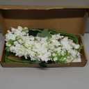 White Delphinium Artificial Flowers,8PCS Long Stem Silk Larkspur Flowers 33.5'' Faux Delphinium Stems for Tall Vase Home Wedding Table Decor(White)