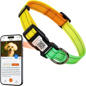 Personalized Dog Collars for Small Dogs, Reflective Dog Collar QR Code Name Tags, Soft Nylon, S (Green-Orange Gradient)