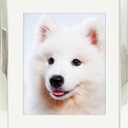DECANIT 11x14 Picture Frames without Mat & 8x10 Picture Frames with Mat Silver Metal Photo Frames For Wall Decoration-Best Gifts For Family