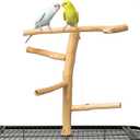 Natural Wood Bird Perch & Play Stand for Parakeets/Cockatiels - Multi-Level Cage Accessory with Training Branch