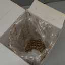 VINCIGANT Gold Crystal Cylinder Flower Vase for Christmas Wedding Holiday Table Centerpieces