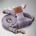 CHEDE No Pull Floral Pattern Dog Harness- Lightweight and Soft Dog Harness, Adjustable Small Dog Harness and Leash Set, with Dog Leash, Suitable for Puppy Small and Medium-Sized Dog