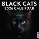 Black Cat Calendar 2026 Wall Black Cats Gifts For Cat Lovers Monthly Calender 12 Month | American Made In The USA