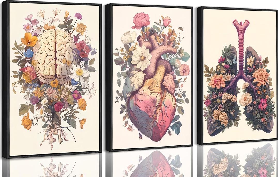 XCDVVAW Stretched Canvas Anatomy Wall Art Set of 3, Floral Human Organ Prints, Vintage Medical Heart Brain Lungs Artwork, Ready to Hang Boho Decor for Nursing School, Doctor Office & Classroom