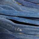 Simplify 25 Pack Kids Velvet Hangers | Slim | Non-Slip Design | Space Saving | Childrens Clothes | Shirts | Pants | Dresses | Baby Nursery | Closet Storage & Organization | Navy