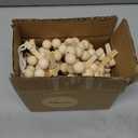 Mkono Hanging Photo Display with Clips, Boho Wooden Bead Garland Banner, Collage Card Picture Kids Art Holder String with 10 Clips for Christmas Bedroom Dorm Decor, Teen Girl Gifts, Brown, 2 Pack