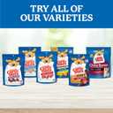 Canine Carry Outs Dog Treats, Beef Flavor, 47 Ounce (2.9 Pound (Pack of 1))