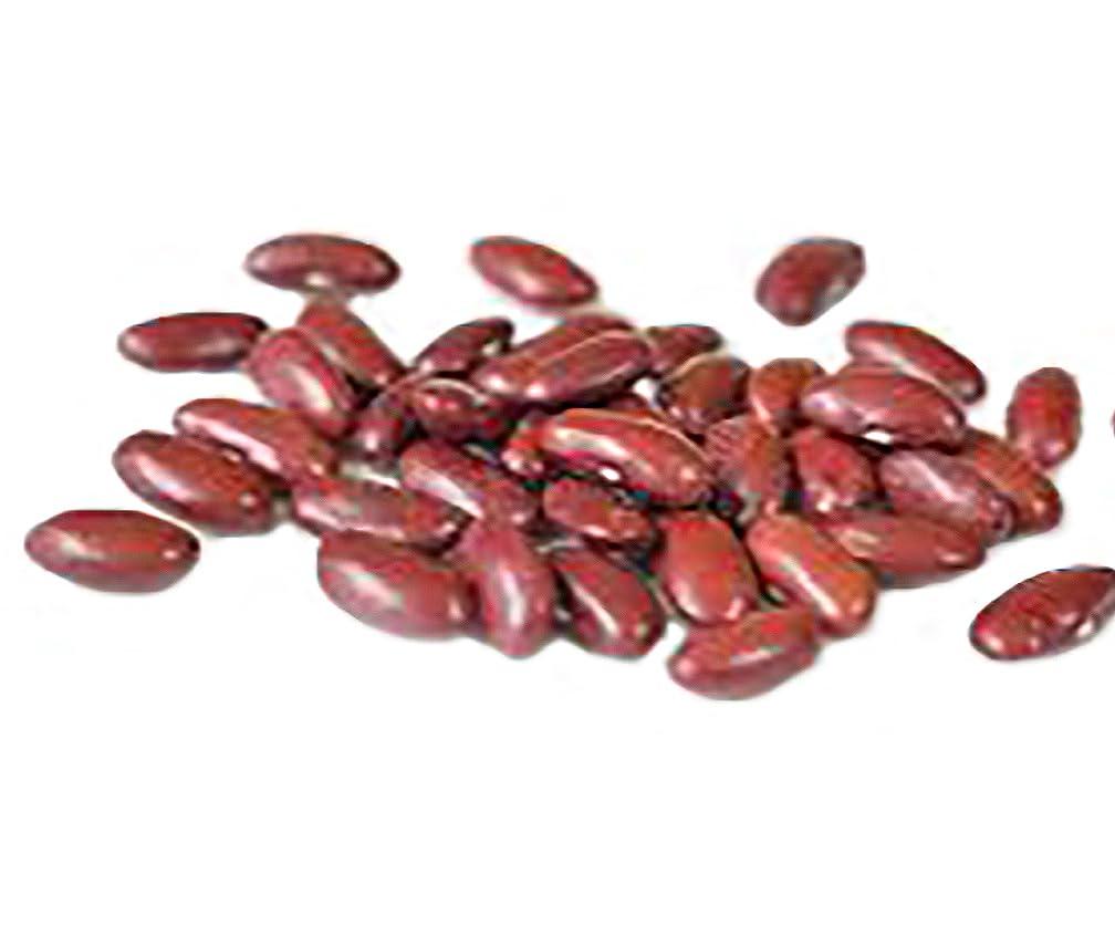 Bush Bean Red Kidney Bean Seeds