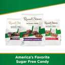 Russell Stover Sugar-Free Assorted Chocolate Caramels, 1.1 Pound (Pack of 1)
