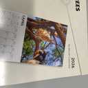 BrownTrout, Goats in Trees 2026 Wall Calendar