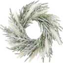 Juexica 19.7 Inch Lighted Christmas Wreaths for Front Door Flocked Norfolk Pine Wreaths with Boho Pampas Grass White Coastal Xmas Decor for Indoor Outdoor Wall Window Home Xmas Seasonal Decor