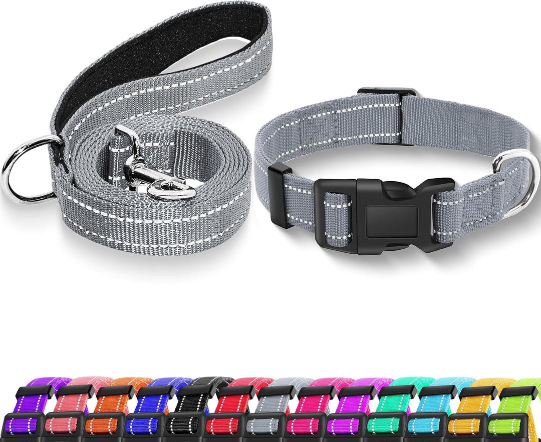 Reflective Dog Collar with Locking Buckle, Adjustable Soft Breathable Nylon Collars for Small, Medium and Large Dogs(Collar+Leash XS Width 5/8" Gray)