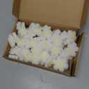 TICIAGA 60Pcs Summer Vase Filler Daisy Sponges for Flower Arrangements, Boho Daisy Vase Filling Decorations for Farmhouse Home Table Centerpiece Decor, Summer White Flower for Table Tiered Tray Decor