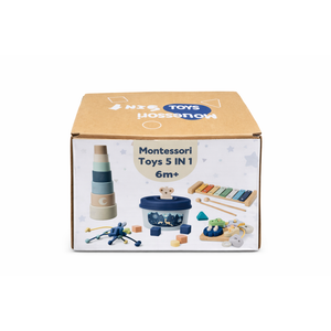 montessori toys 5 in 1 6m