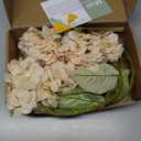 mizii 4Pcs Beige Artificial Hydrangea Flowers Large Fake Silk Hydrangea Flower with Leaves Stems Realistic Faux Hydrangeas Decorations for Wedding Table Centerpieces Vase Home Decor (Beige)