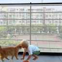 Banister Guard-15ft x 3ft Thick Safety Net for Kids, Pets Balcony Rails, Apartment Cat Stair Guard (White)