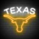 TEXAS Longhorn Neon Sign for Wall Decor -Adjustable Brightness LED Bull Neon Light Signs, Cow Neon Signs - USB Powered Hanging Neon Sign for Game Room, Man Cave, Bar