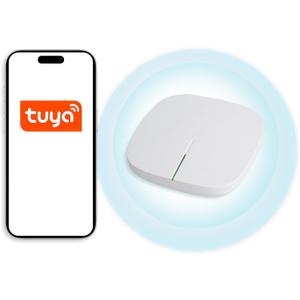 Allesin Smart Bridge for Motorized Blinds, Compatible with Tuya App, Alexa, Google Assistant (Only Compatible with Motorized Blinds)