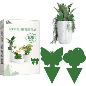 100 Pcs Sticky Traps for Fungus Gnat (Plants), Fruit Fly, Whitefly, and Fly, Yellow Sticky Insect Catcher Traps for Indoor/Outdoor, Kitchen, and Plants, High-End Glue, Non-Toxic (100 Pcs Green)