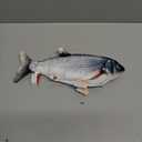 Tocirelo Cat Toys Flopping Fish with Catnip, Moving Cat Toy Interactive for Indoor Cats, Kitten Kicker Floppy Dog Toy, 11" Electric Realistic Plush Wiggle Fish for Kitty Exercise (Carp)