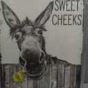 Tijuboni Donkey Bathroom Decor Wall Art, Funny Bathroom Pictures and Signs, Donkey Canvas Print Poster, Farmhouse Animal Painting Framed Artwork for Toilet Bedroom 16"x24"