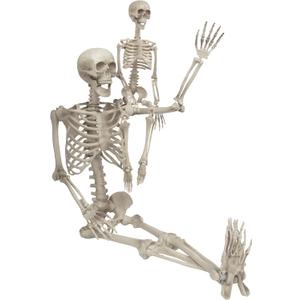 Halloween Posable Human Adult (5' 4") & Child (3') Skeleton Value 2 Pack - Life Size, Articulated Limbs & Bones Stay in Place, Weather Resistant Indoor/Outdoor Decoration- Haunted House Party Props