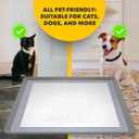 Skywin TidyFriend 2 Pack Dog Pee Pad Holder Tray - Fits Up to 24 x 24 Pee Pad Holder for Dogs - Stable Grip, Raised Edges, Quick-Wipe Silicone Surface Dog Pad Holder for Indoor (Dark Grey)