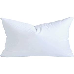 22x28 Inch Synthetic Down Alternative Rectangle Pillow Insert Form Stuffer for Sofa Shams, Decorative Throw Pillow, Cushion and Bed Pillow Stuffing - Hypoallergenic 22“X 28”